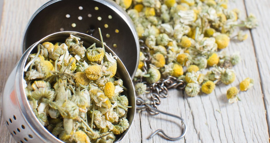 16272156 - dried chamomile flowers with colander on wooden plate