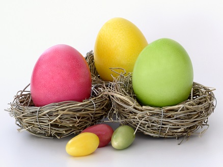 boiled-eggs-bright-cheerful-372173